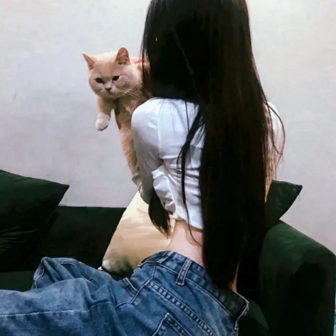 黑暗复仇者